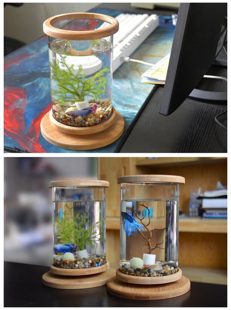 Small Desktop Fish Tank with Bamboo Base