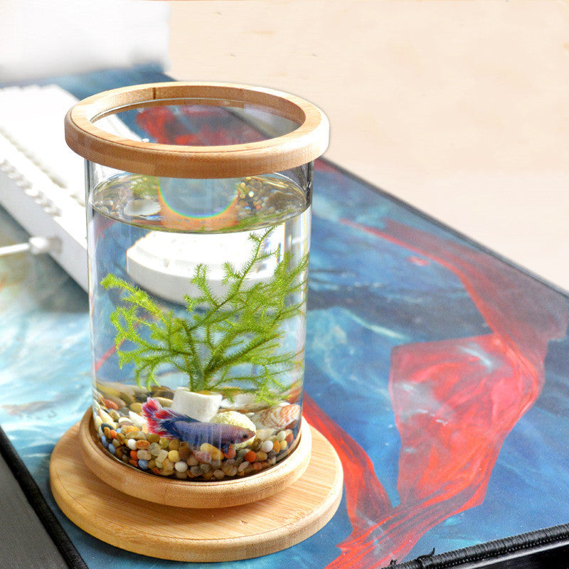 Small Desktop Fish Tank with Bamboo Base