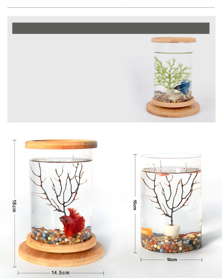 Small Desktop Fish Tank with Bamboo Base