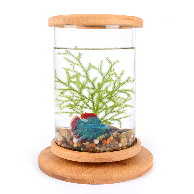 Small Desktop Fish Tank with Bamboo Base
