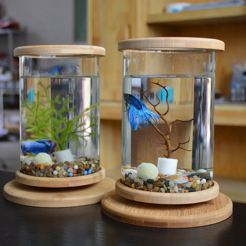 Small Desktop Fish Tank with Bamboo Base