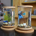 Small Desktop Fish Tank with Bamboo Base