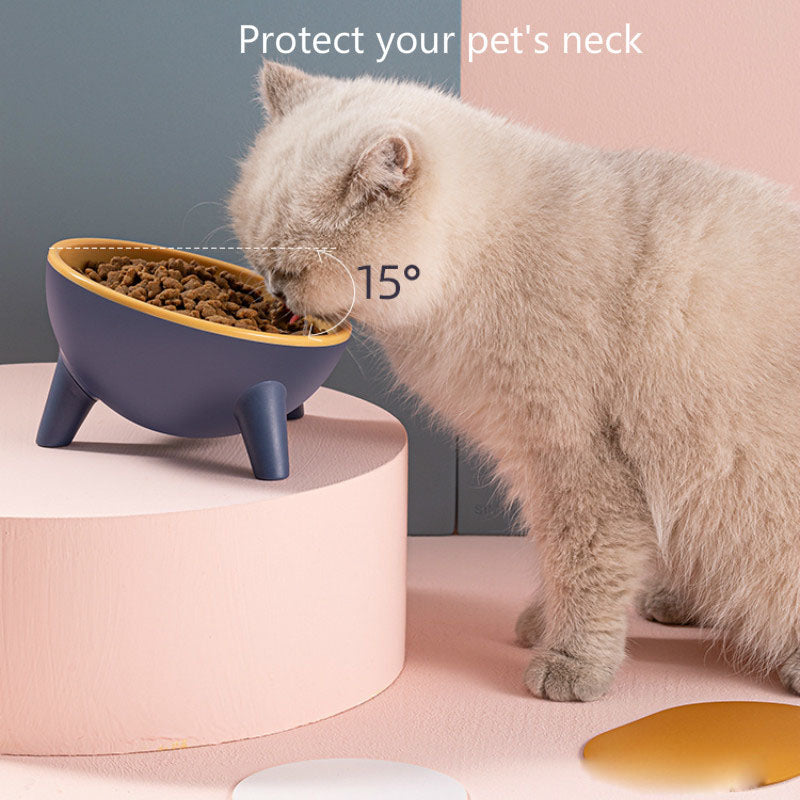 Nordic Elevated Pet Food Bowl with Stand