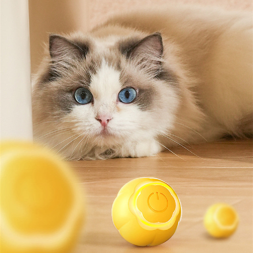 Smart Interactive Rolling Ball Toy for Cats and Small Pets