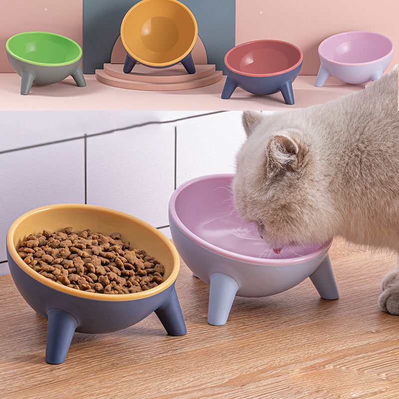Nordic Elevated Pet Food Bowl with Stand